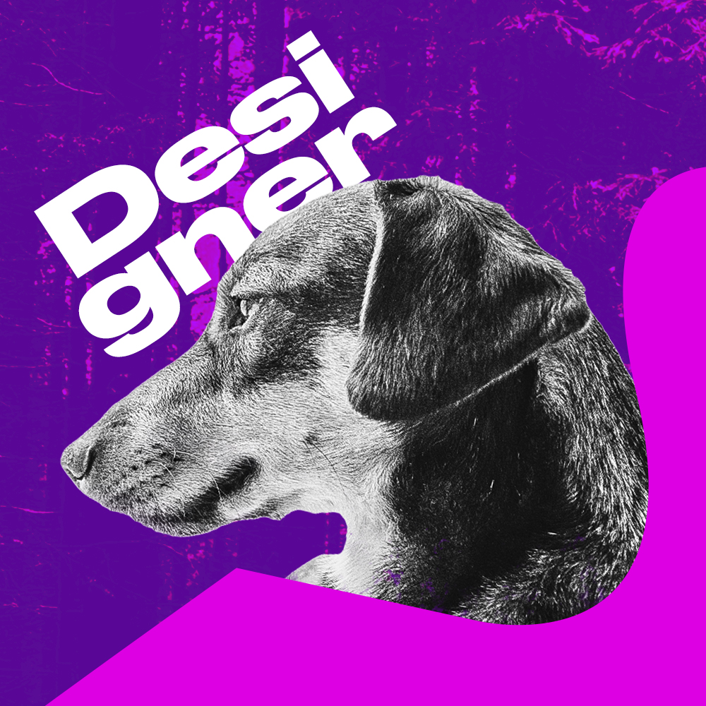 Beat Cover