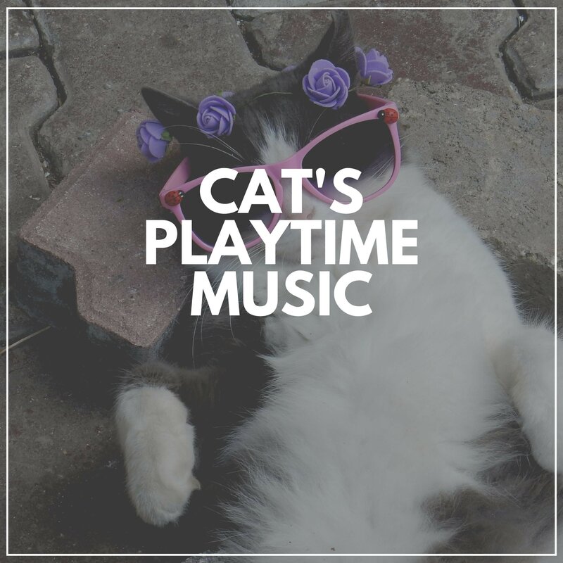 Music For Cats