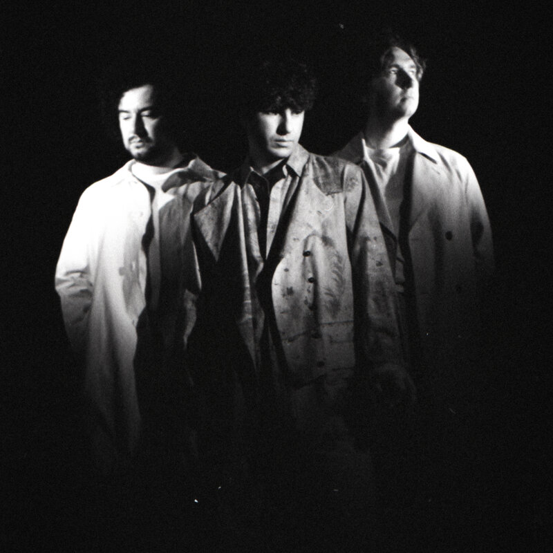 The Kooks