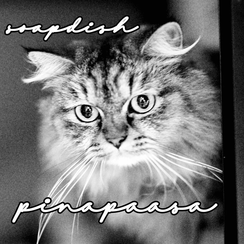 Soapdish