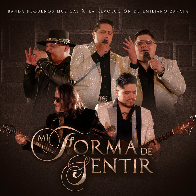 Banda Pequeños Musical