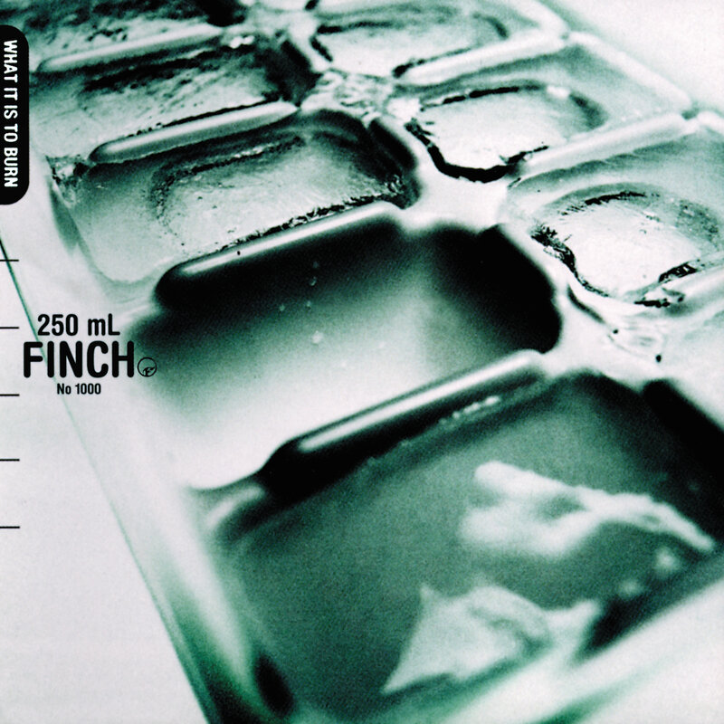 Finch