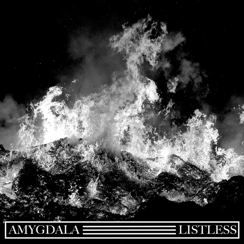 Amygdala